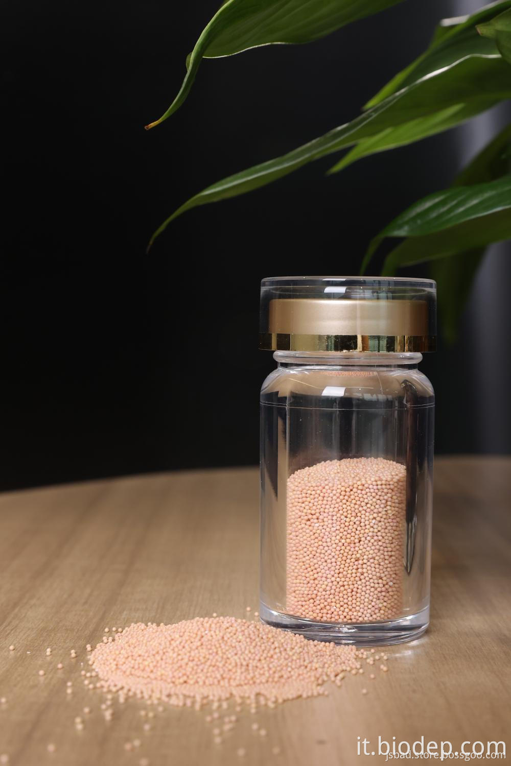 Lactobacillus Salivarius